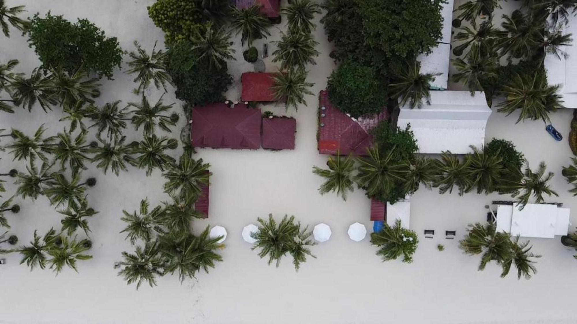 Beach Placid Resort Powered By Cocotel Ocoy المظهر الخارجي الصورة